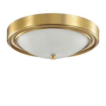 Светильник настенно-потолочный Lumion Nina 5259/2C