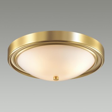 Светильник настенно-потолочный Lumion Nina 5259/3C-2