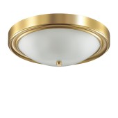 Светильник настенно-потолочный Lumion Nina 5259/3C