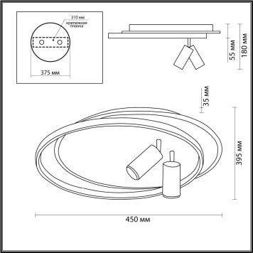 Светильник потолочный Lumion Naoko 5603/63CL-2