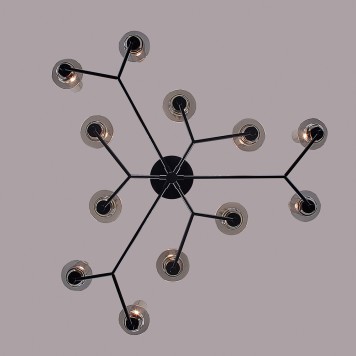 Светильник потолочный Lumion Madonna 6555/12C-3