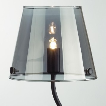 Лампа настольная Lumion Smoky 6570/1T-3