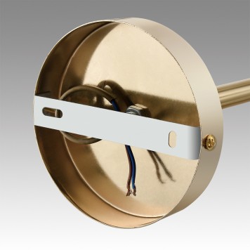 Светильник потолочный Lumion Kassia 6586/10-7