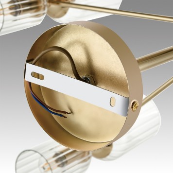 Светильник потолочный Lumion Kassia 6586/16-5