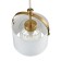 Люстра Lumion Jane 6593/1