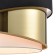 Люстра Lumion Indira 8041/3