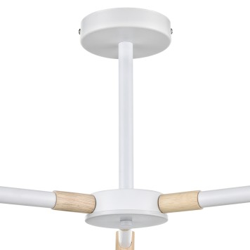 Светильник потолочный Lumion Rosalina 8097/3C-5