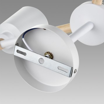 Светильник потолочный Lumion Rosalina 8097/6C-10