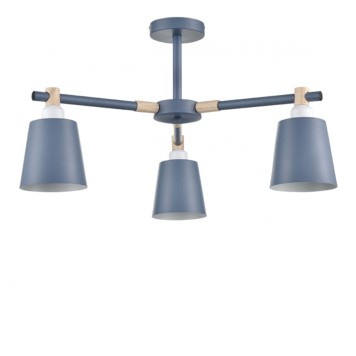 Светильник потолочный Lumion Rosalina 8098/3C-2