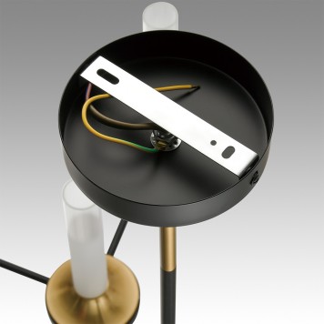 Люстра Lumion Tamaresa 8112/24-9