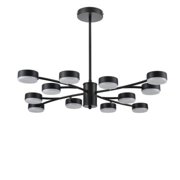 Светильник потолочный Lumion Torina 8117/12-4