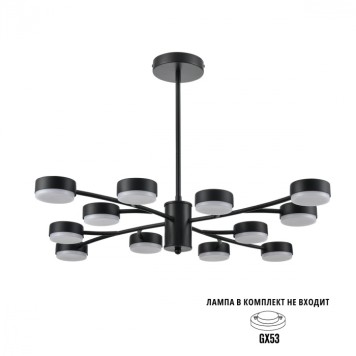 Светильник потолочный Lumion Torina 8117/12-5