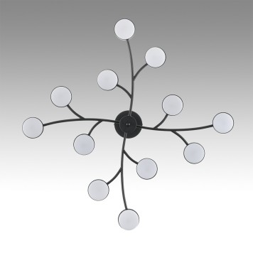 Светильник потолочный Lumion Torina 8117/12-7