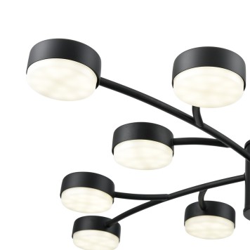 Светильник потолочный Lumion Torina 8117/12-8