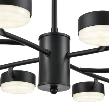 Светильник потолочный Lumion Torina 8117/12-10