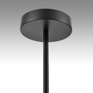 Светильник потолочный Lumion Torina 8117/12-11