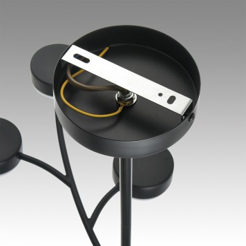 Светильник потолочный Lumion Torina 8117/12-12