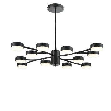 Светильник потолочный Lumion Torina 8117/12