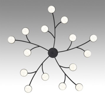 Светильник потолочный Lumion Torina 8117/15-5