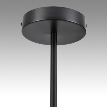 Светильник потолочный Lumion Torina 8117/15-9