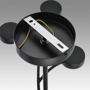 Светильник потолочный Lumion Torina 8117/15-10