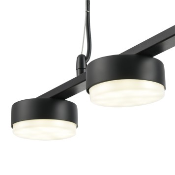 Люстра Lumion Torina 8117/5-6