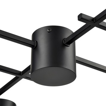 Светильник потолочный Lumion Sanata 8186/8C-4