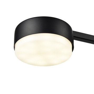 Светильник потолочный Lumion Sanata 8187/4C-6