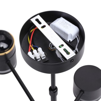 Светильник потолочный Lumion Virsava 8234/6C-11