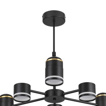 Светильник потолочный Lumion Virsava 8234/6C-4