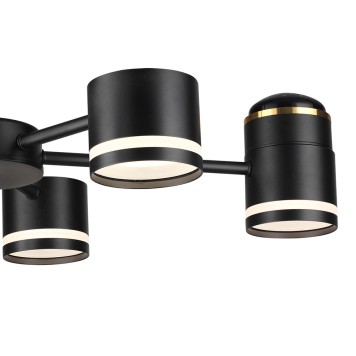 Светильник потолочный Lumion Virsava 8234/6C-6