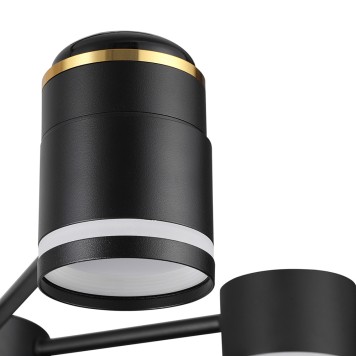 Светильник потолочный Lumion Virsava 8234/6C-7