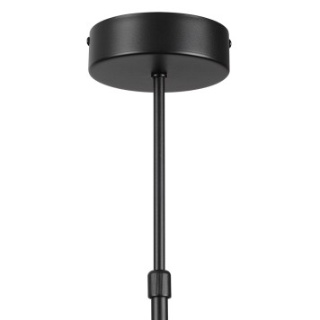 Светильник потолочный Lumion Virsava 8234/8C-12