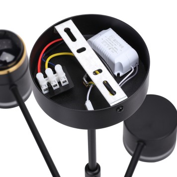 Светильник потолочный Lumion Virsava 8234/8C-13