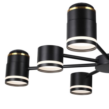 Светильник потолочный Lumion Virsava 8234/8C-6