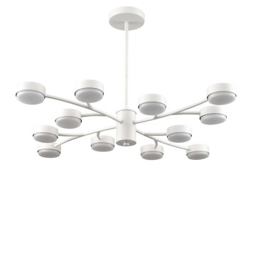 Светильник потолочный Lumion Torina 8265/12-4