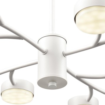 Светильник потолочный Lumion Torina 8265/12-7