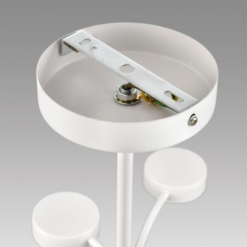 Светильник потолочный Lumion Torina 8265/12-8