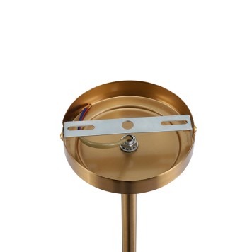 Люстра Lumion Vermont 8275/5-6