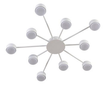 Светильник потолочный Lumion Torina 8343/10C-2