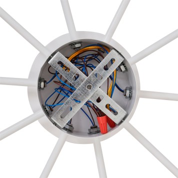 Светильник потолочный Lumion Torina 8343/10C-6