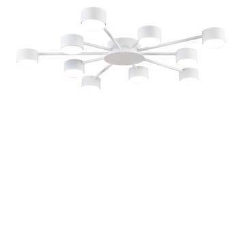 Светильник потолочный Lumion Torina 8343/10C