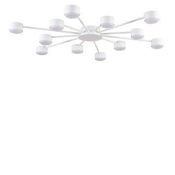 Светильник потолочный Lumion Torina 8343/12C-1