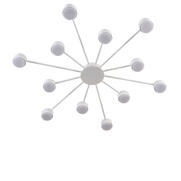 Светильник потолочный Lumion Torina 8343/12C-2