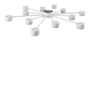 Светильник потолочный Lumion Torina 8343/12C-4