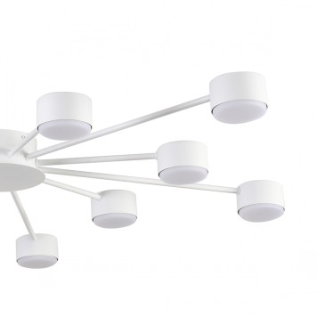 Светильник потолочный Lumion Torina 8343/12C-5