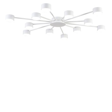 Светильник потолочный Lumion Torina 8343/12C