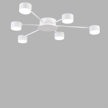 Светильник потолочный Lumion Torina 8343/6C-3