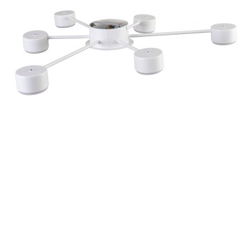 Светильник потолочный Lumion Torina 8343/6C-4