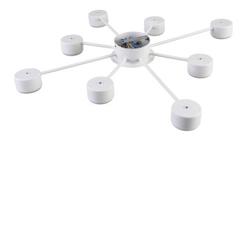 Светильник потолочный Lumion Torina 8343/8C-4